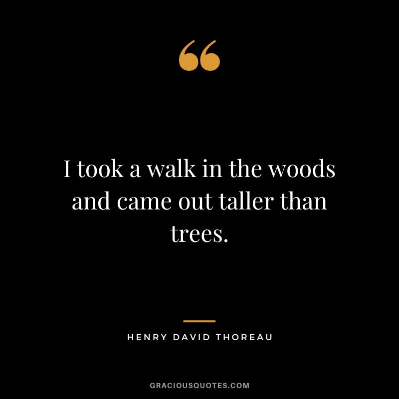 I took a walk in the woods and came out taller than trees. - Henry David Thoreau
