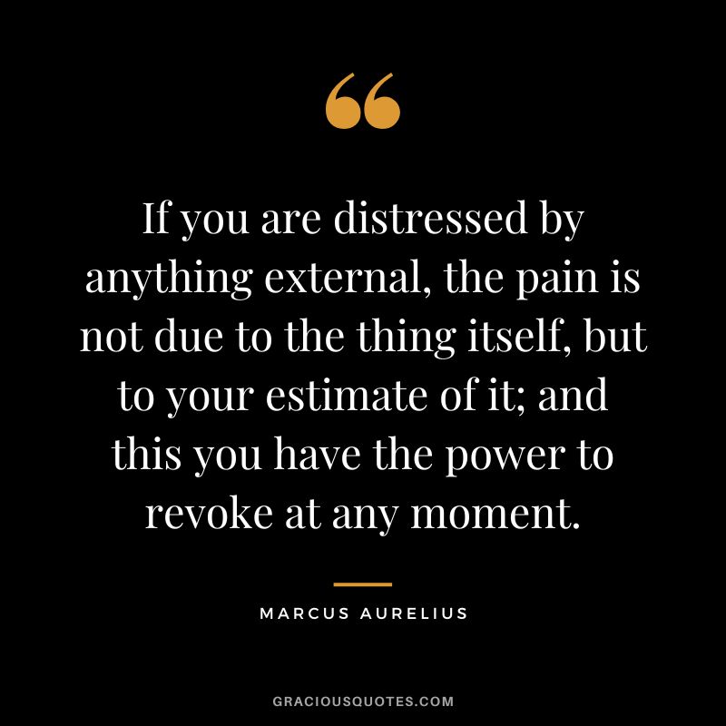 If you are distressed by anything external, the pain is not due to the thing itself, but to your estimate of it; and this you have the power to revoke at any moment. - Marcus Aurelius