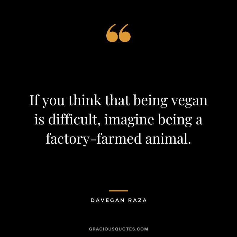 If you think that being vegan is difficult, imagine being a factory-farmed animal. - Davegan Raza