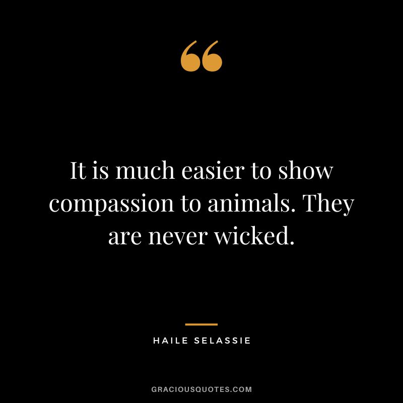 It is much easier to show compassion to animals. They are never wicked. - Haile Selassie