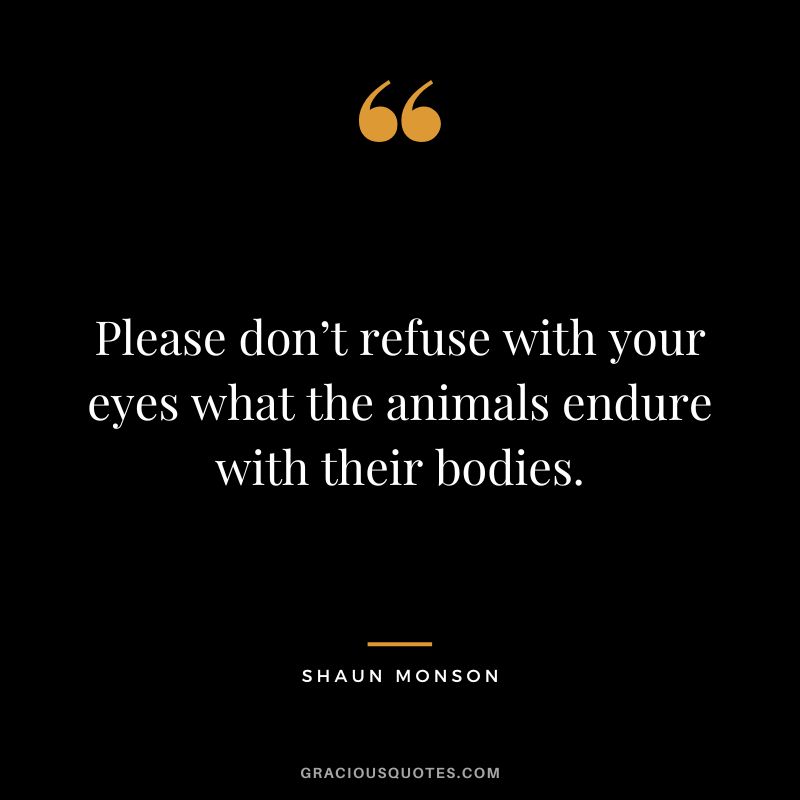 Please don’t refuse with your eyes what the animals endure with their bodies. - Shaun Monson