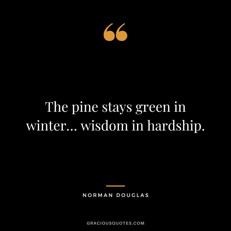 The pine stays green in winter… wisdom in hardship. - Norman Douglas