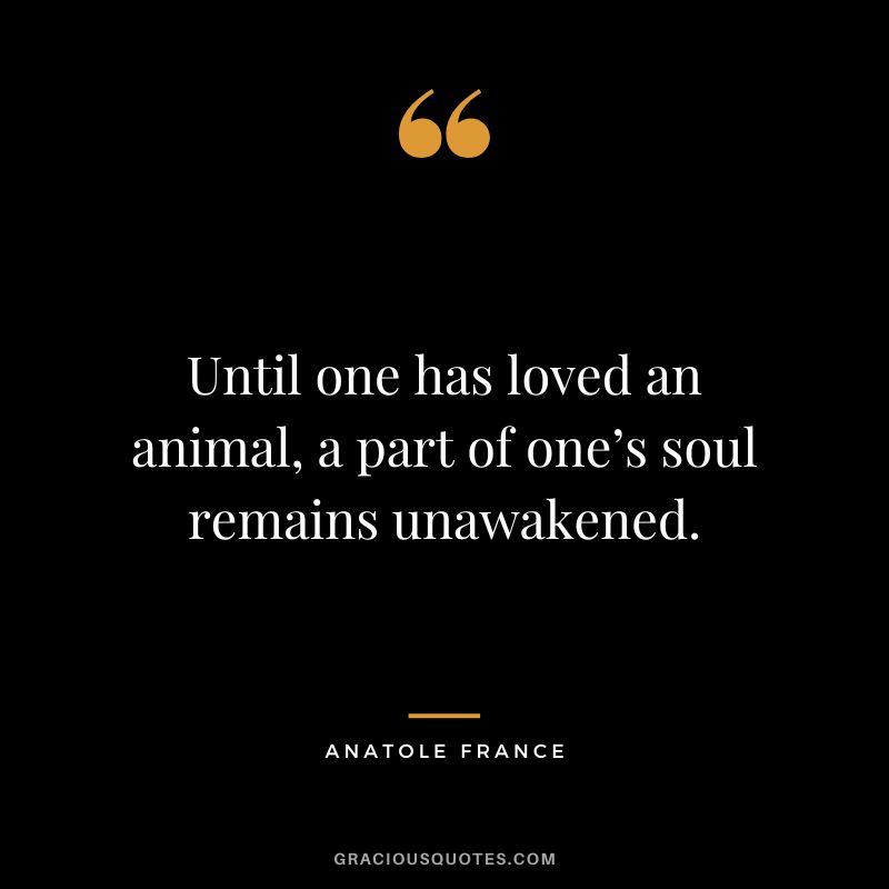 Until one has loved an animal, a part of one’s soul remains unawakened. - Anatole France
