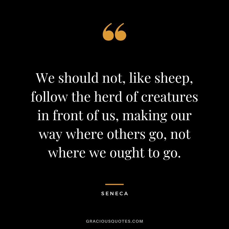 We should not, like sheep, follow the herd of creatures in front of us, making our way where others go, not where we ought to go. - Seneca