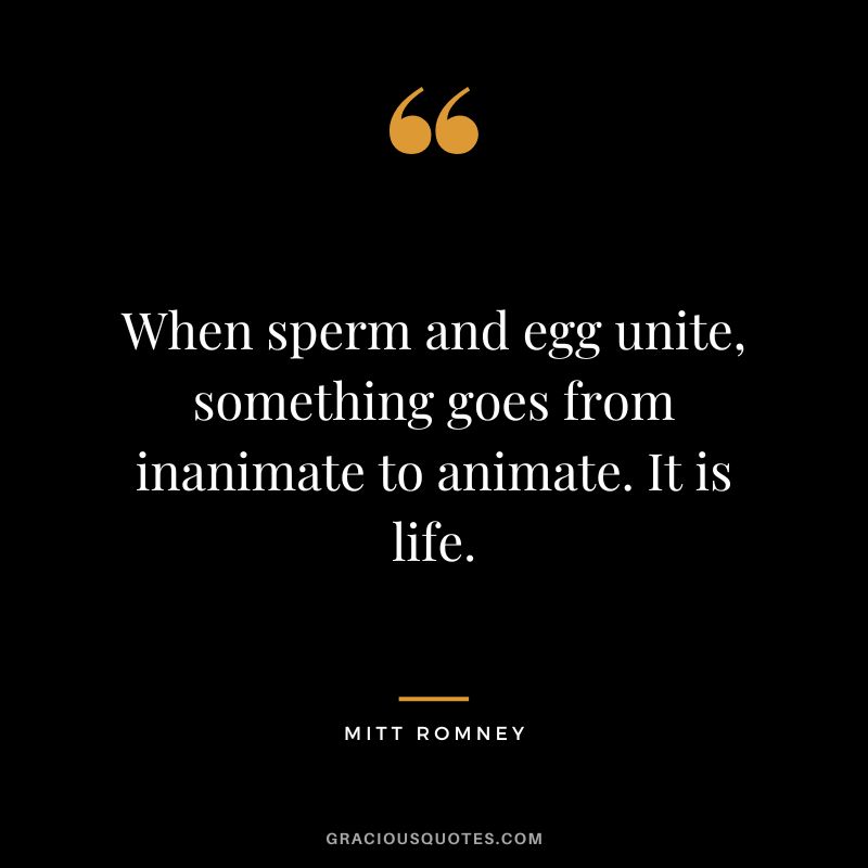 When sperm and egg unite, something goes from inanimate to animate. It is life.