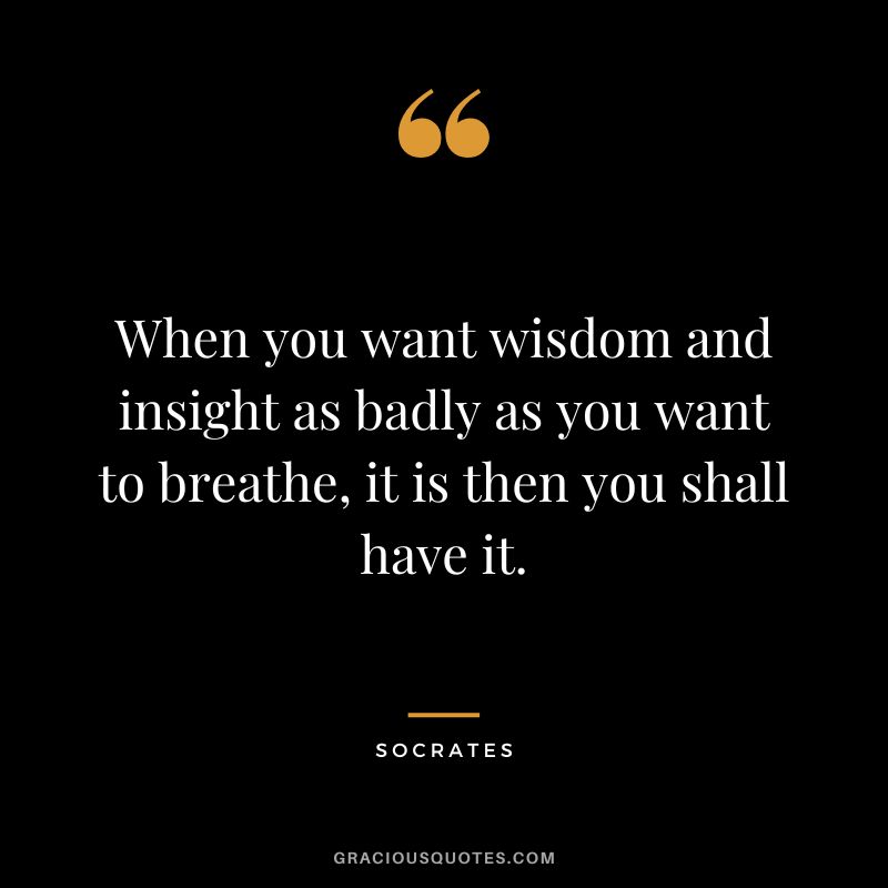 When you want wisdom and insight as badly as you want to breathe, it is then you shall have it. - Socrates