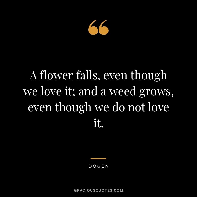 A flower falls, even though we love it; and a weed grows, even though we do not love it. - Dogen