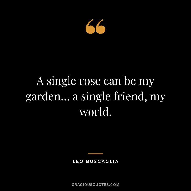 A single rose can be my garden… a single friend, my world. - Leo Buscaglia
