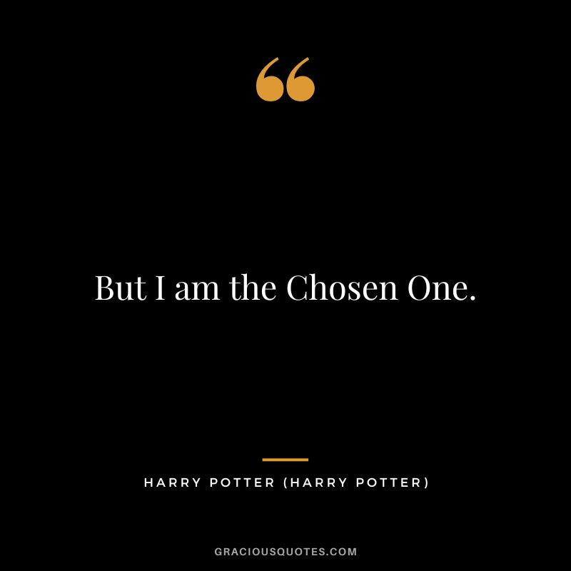 But I am the Chosen One. - Harry Potter