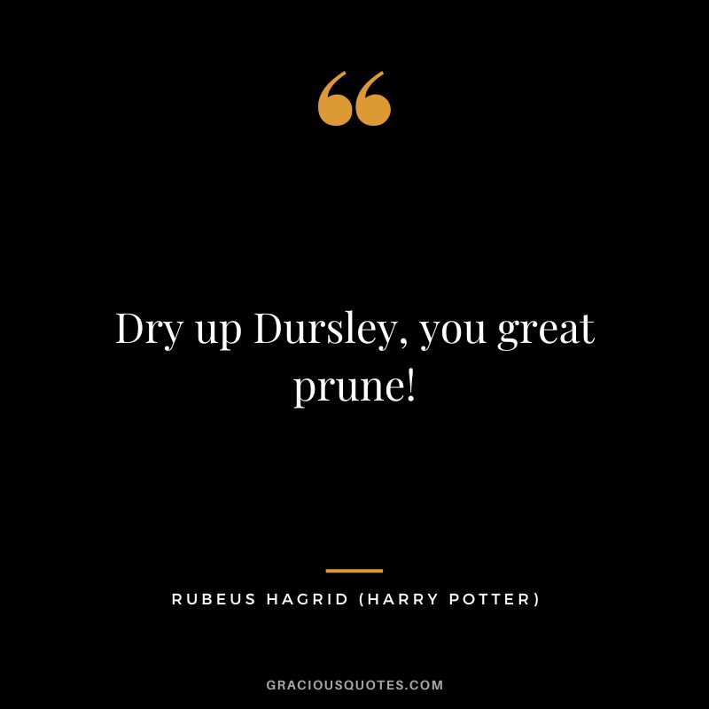 Dry up Dursley, you great prune! - Rubeus Hagrid