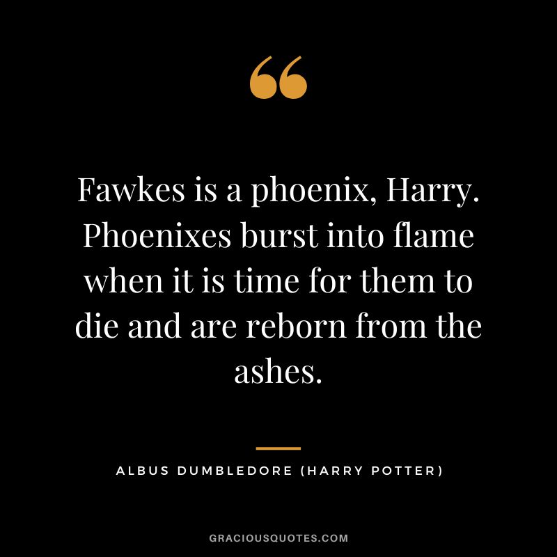 Fawkes is a phoenix, Harry. Phoenixes burst into flame when it is time for them to die and are reborn from the ashes. - Albus Dumbledore