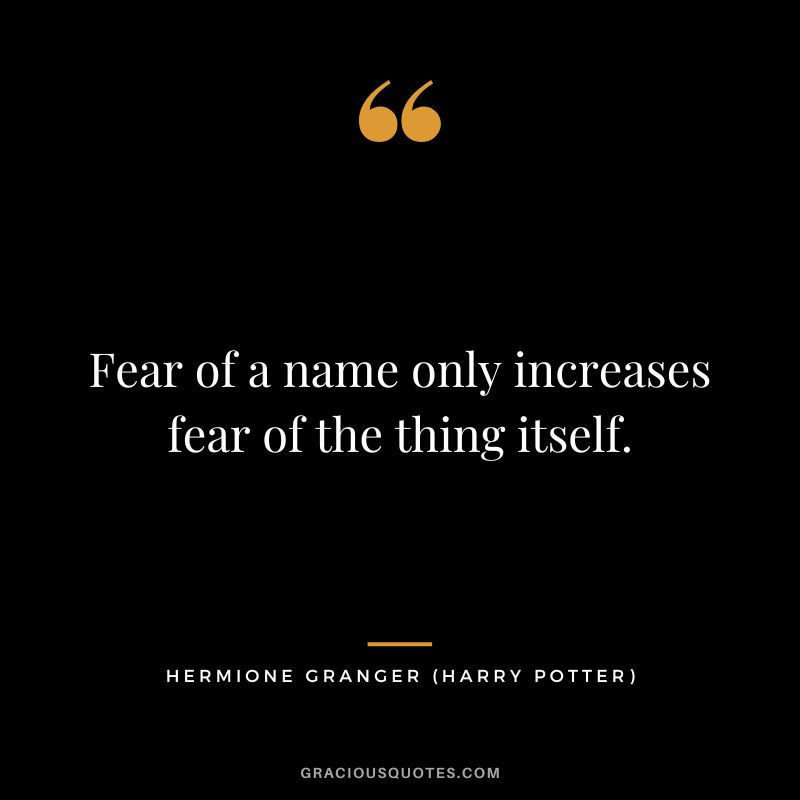 Fear of a name only increases fear of the thing itself. - Hermione Granger