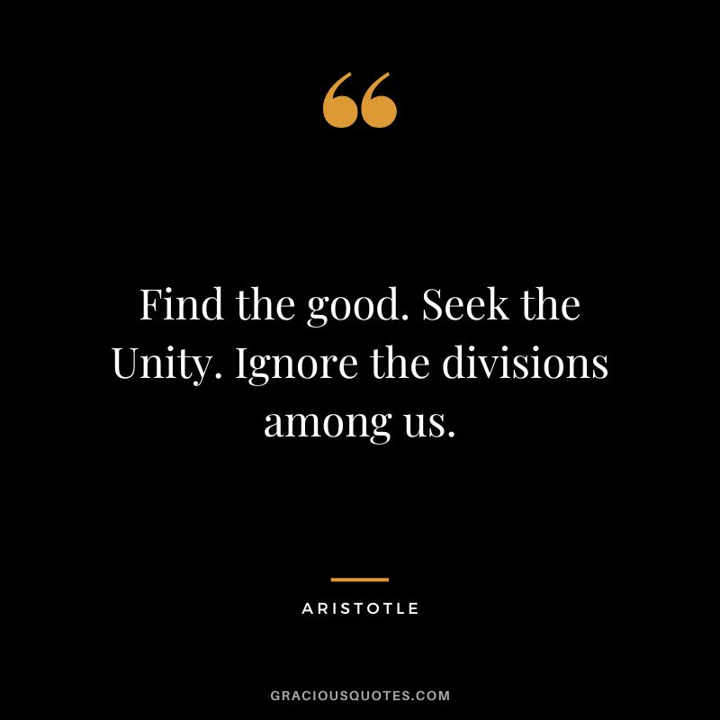 Find the good. Seek the Unity. Ignore the divisions among us. - Aristotle