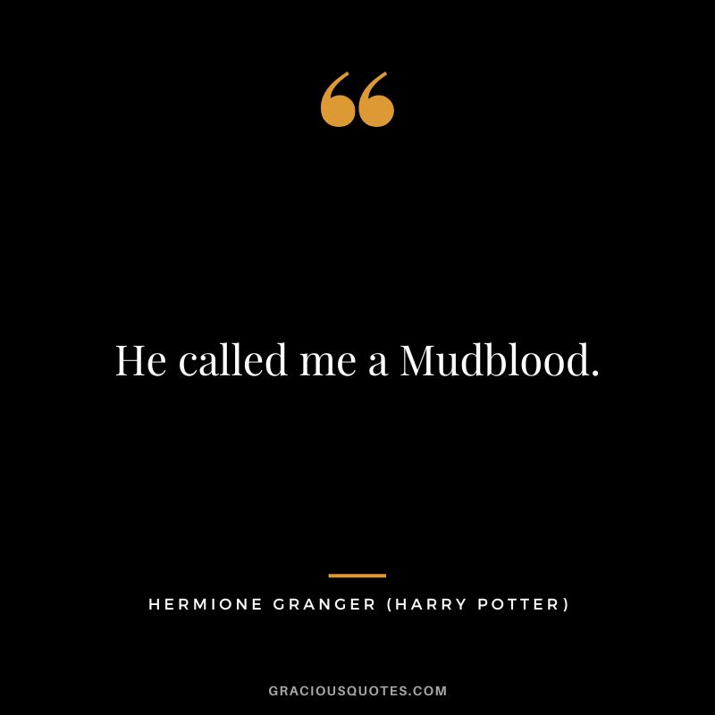 He called me a Mudblood. - Hermione Granger