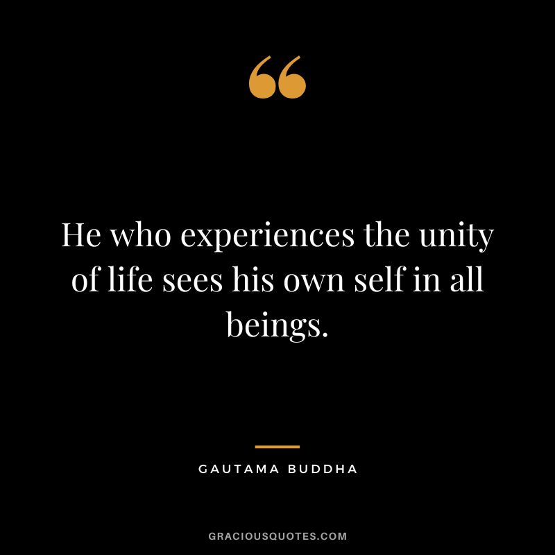 He who experiences the unity of life sees his own self in all beings. - Gautama Buddha