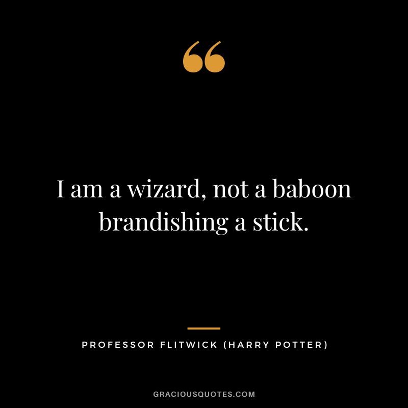 I am a wizard, not a baboon brandishing a stick. - Professor Flitwick