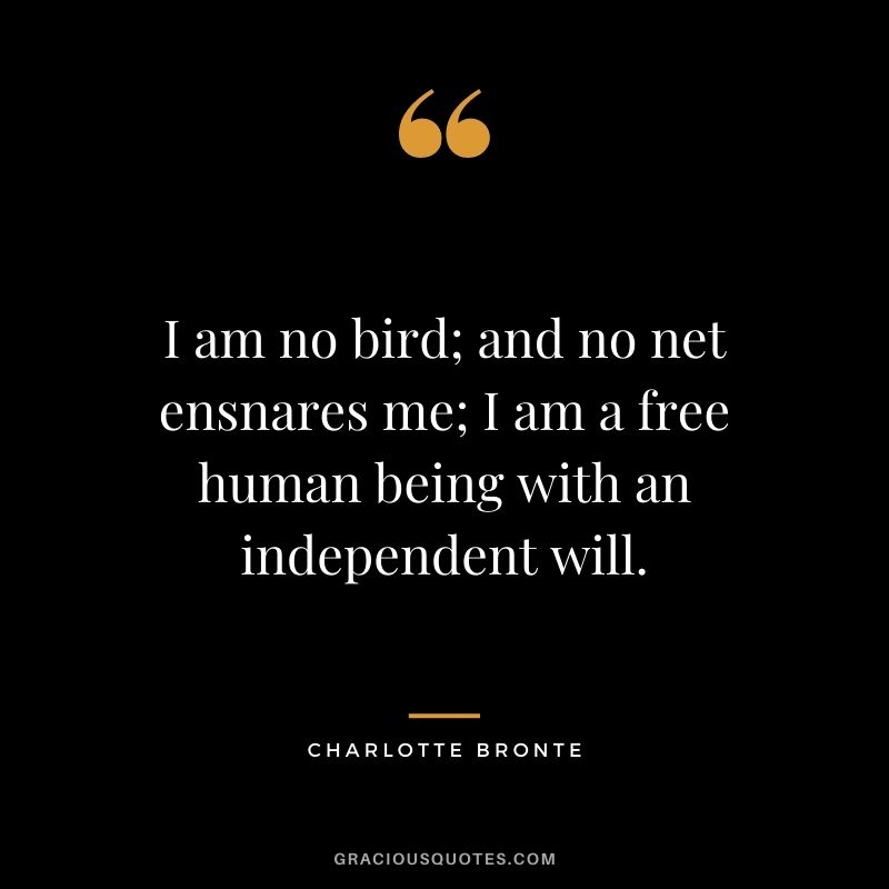 I am no bird; and no net ensnares me; I am a free human being with an independent will. - Charlotte Bronte