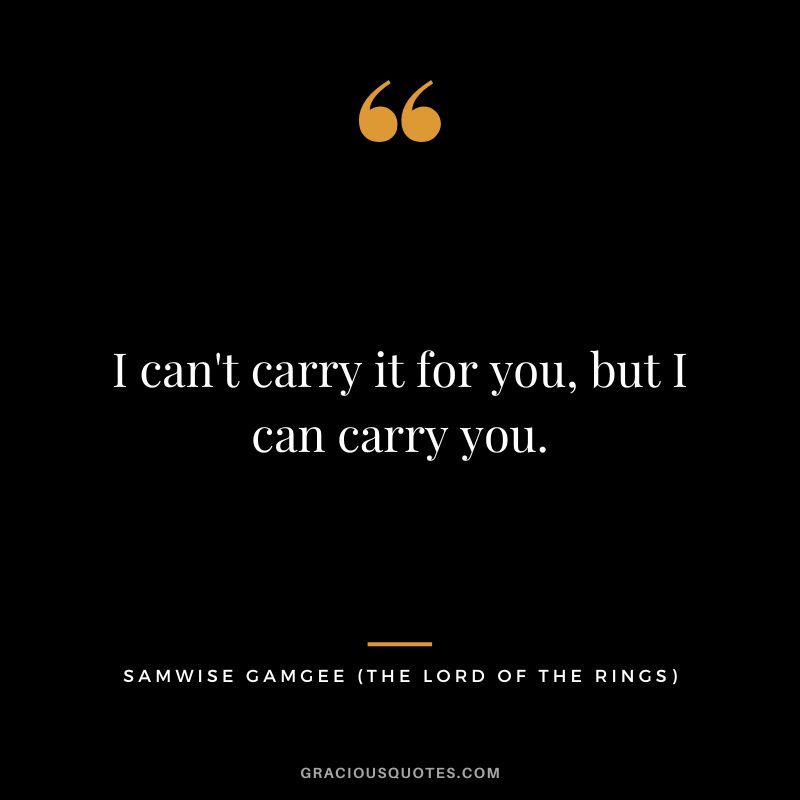 I can't carry it for you, but I can carry you. - Samwise Gamgee