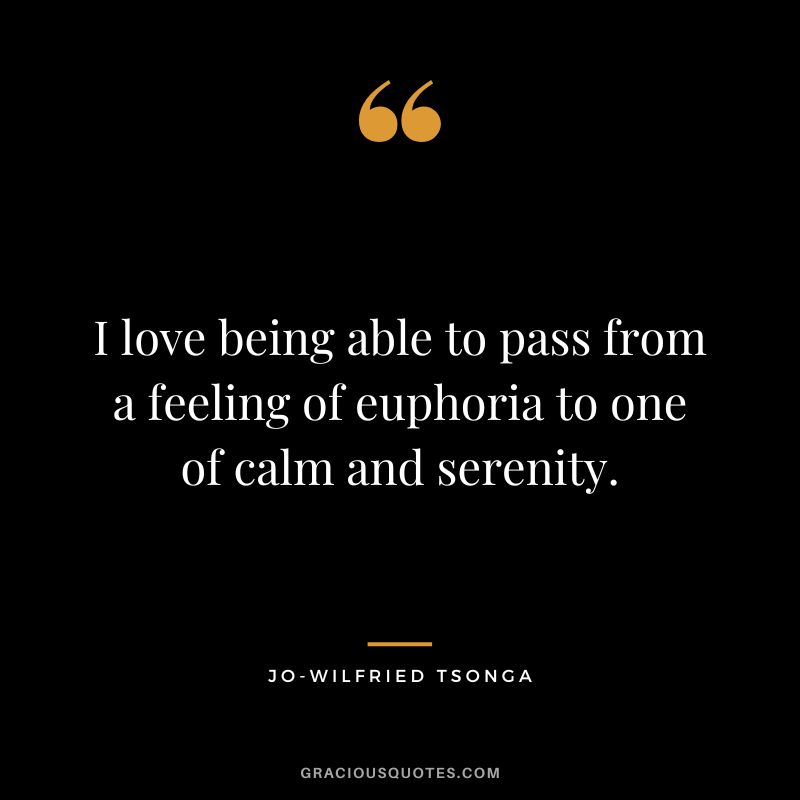 I love being able to pass from a feeling of euphoria to one of calm and serenity. - Jo-Wilfried Tsonga