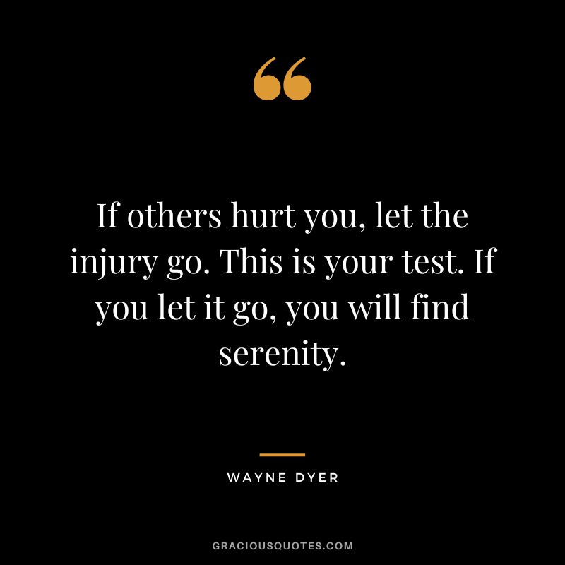 If others hurt you, let the injury go. This is your test. If you let it go, you will find serenity. - Wayne Dyer