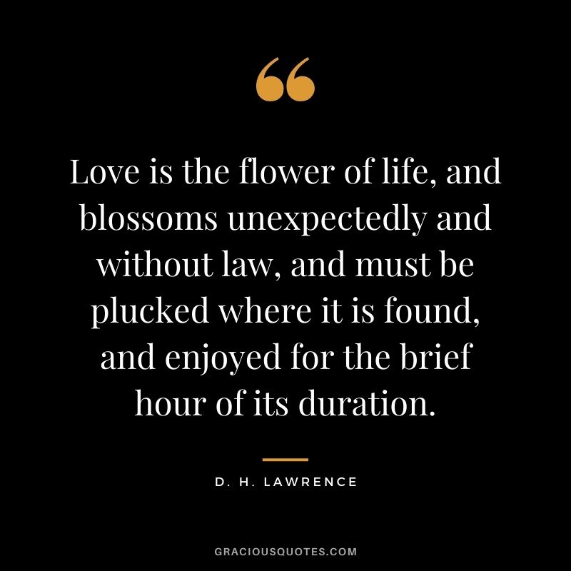 Love is the flower of life, and blossoms unexpectedly and without law, and must be plucked where it is found, and enjoyed for the brief hour of its duration. - D. H. Lawrence