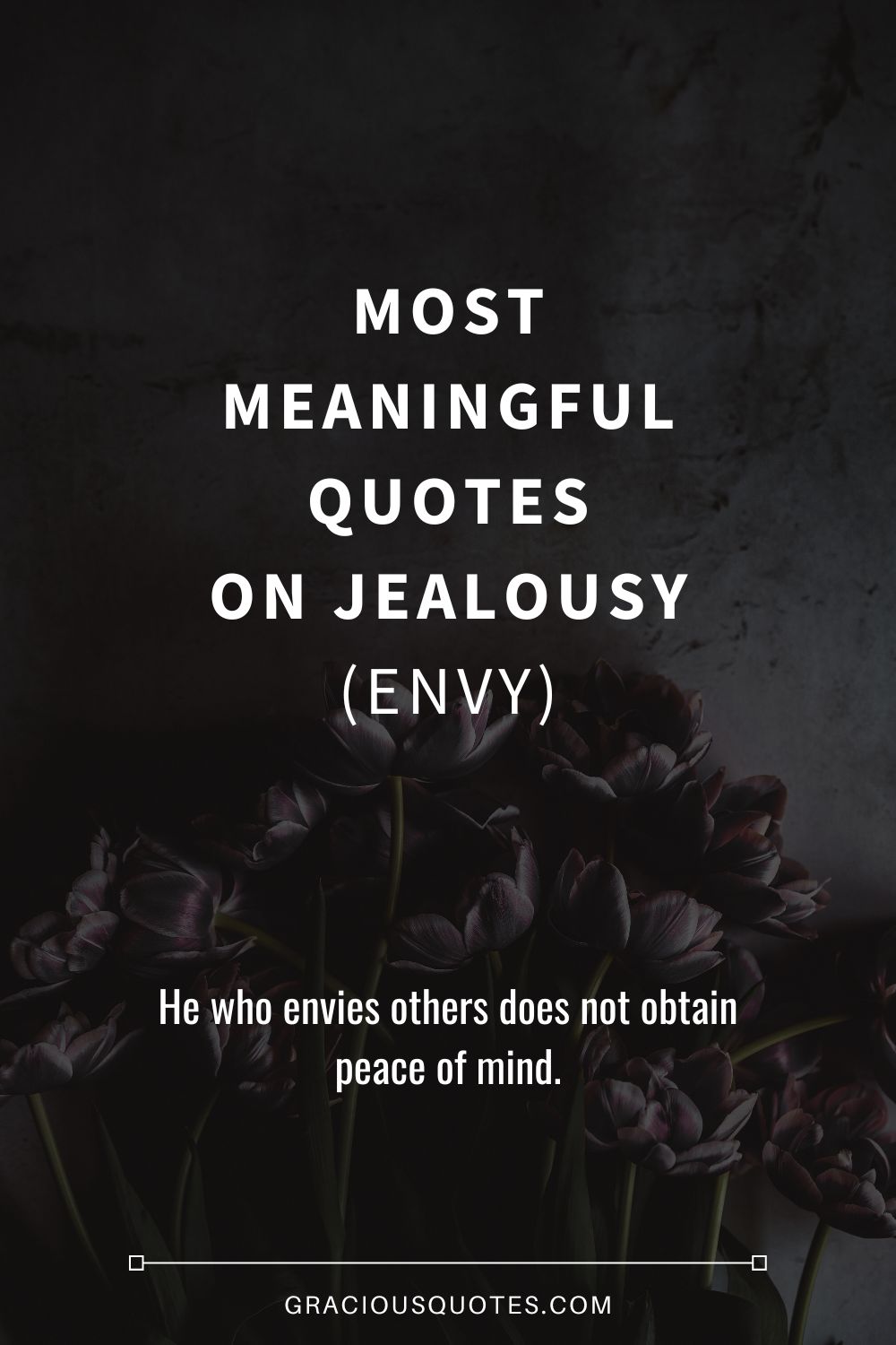 Most Meaningful Quotes on Jealousy (ENVY) - Gracious Quotes