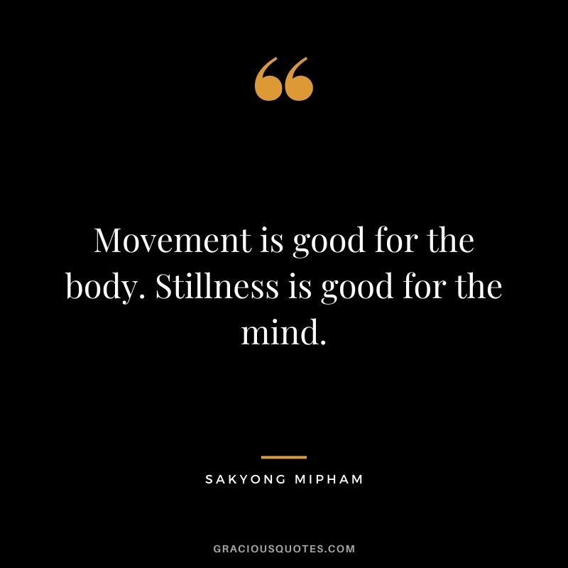 Movement is good for the body. Stillness is good for the mind. - Sakyong Mipham