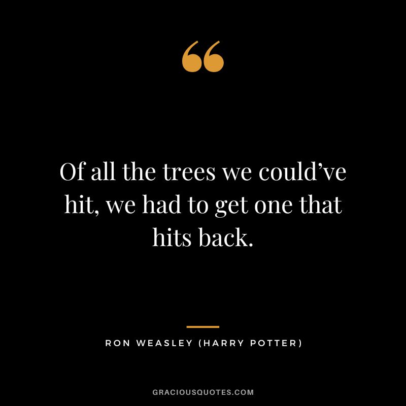 Of all the trees we could’ve hit, we had to get one that hits back. - Ron Weasley