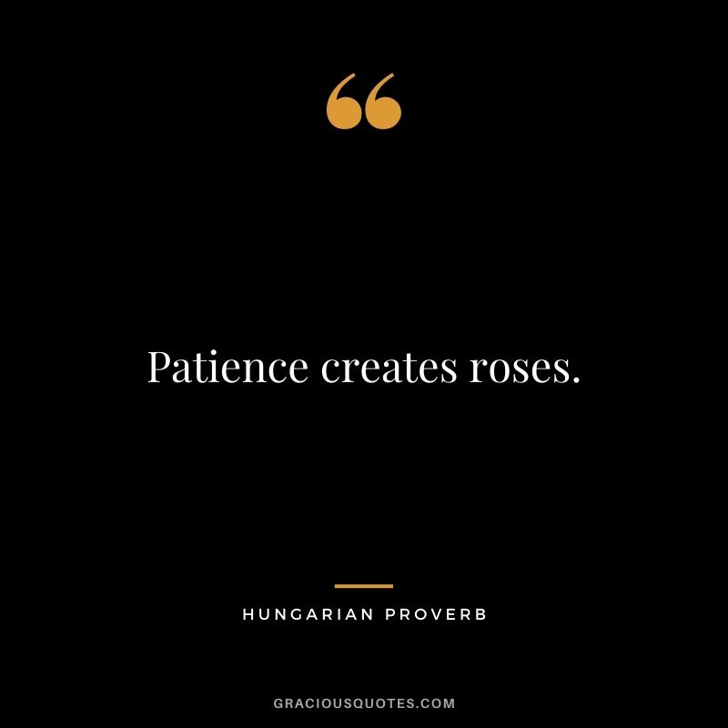 Patience creates roses.