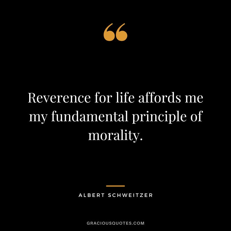 Reverence for life affords me my fundamental principle of morality. - Albert Schweitzer