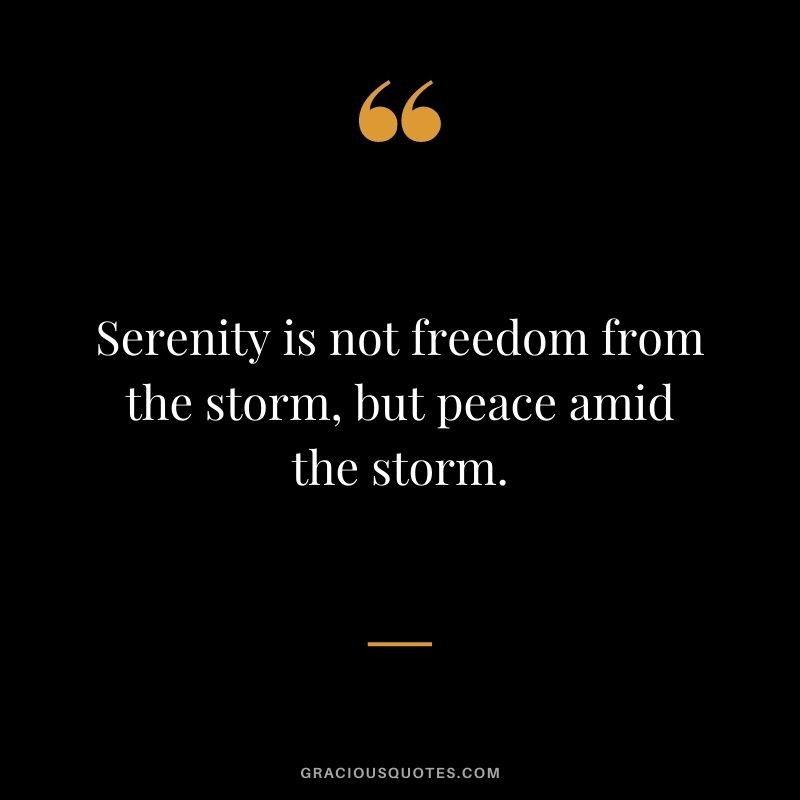 Serenity is not freedom from the storm, but peace amid the storm. - S A Jefferson-Wright