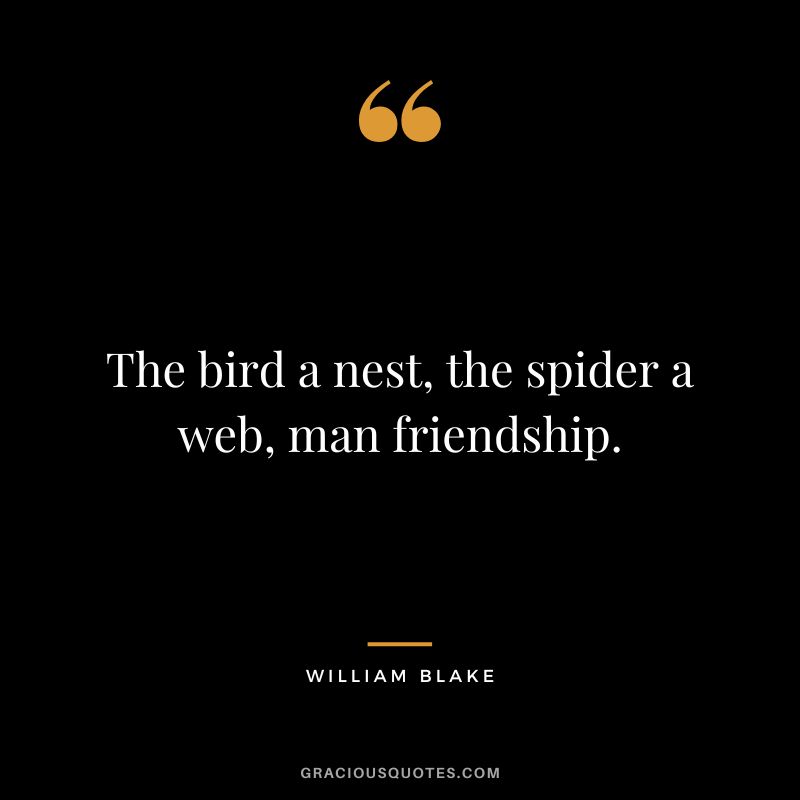 The bird a nest, the spider a web, man friendship. - William Blake
