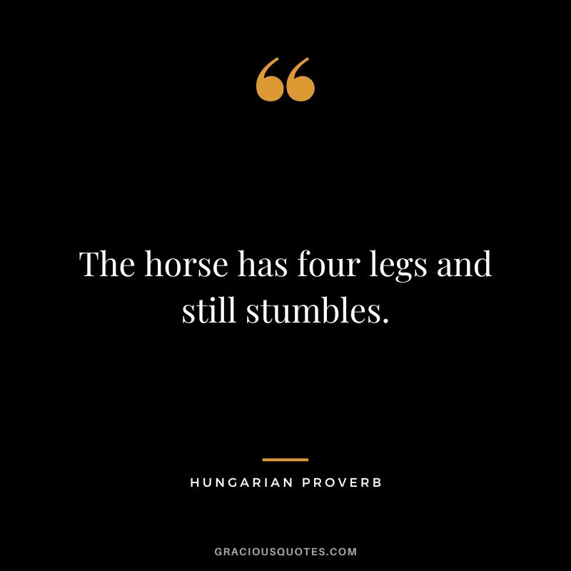 The horse has four legs and still stumbles.