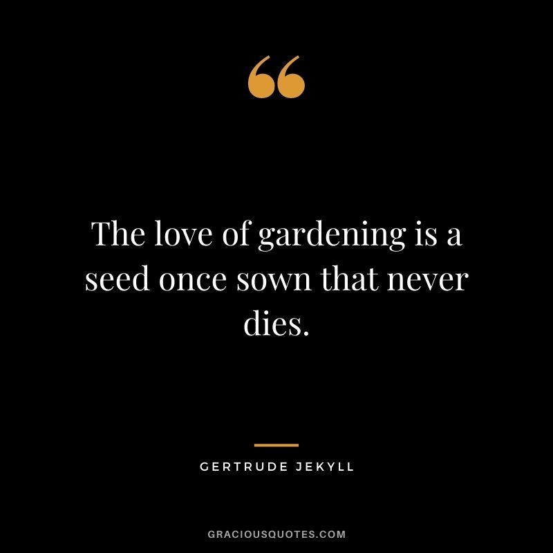 The love of gardening is a seed once sown that never dies. - Gertrude Jekyll