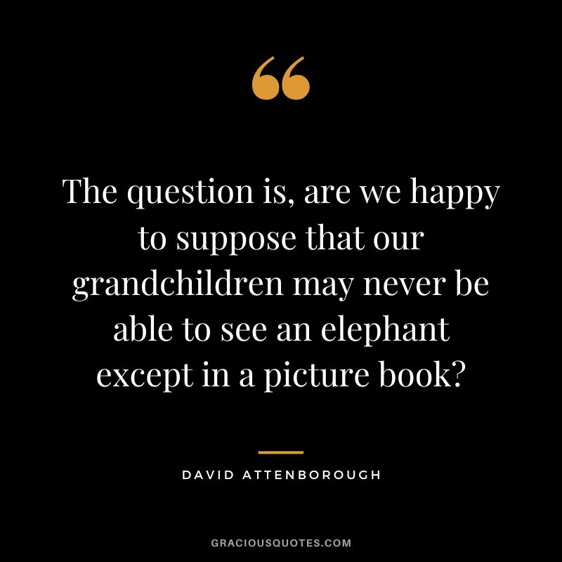 The question is, are we happy to suppose that our grandchildren may never be able to see an elephant except in a picture book - David Attenborough