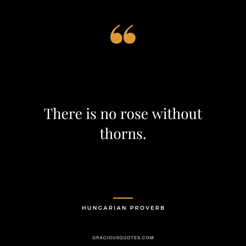 There is no rose without thorns.