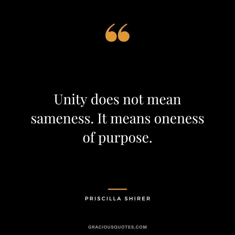 Unity does not mean sameness. It means oneness of purpose. - Priscilla Shirer