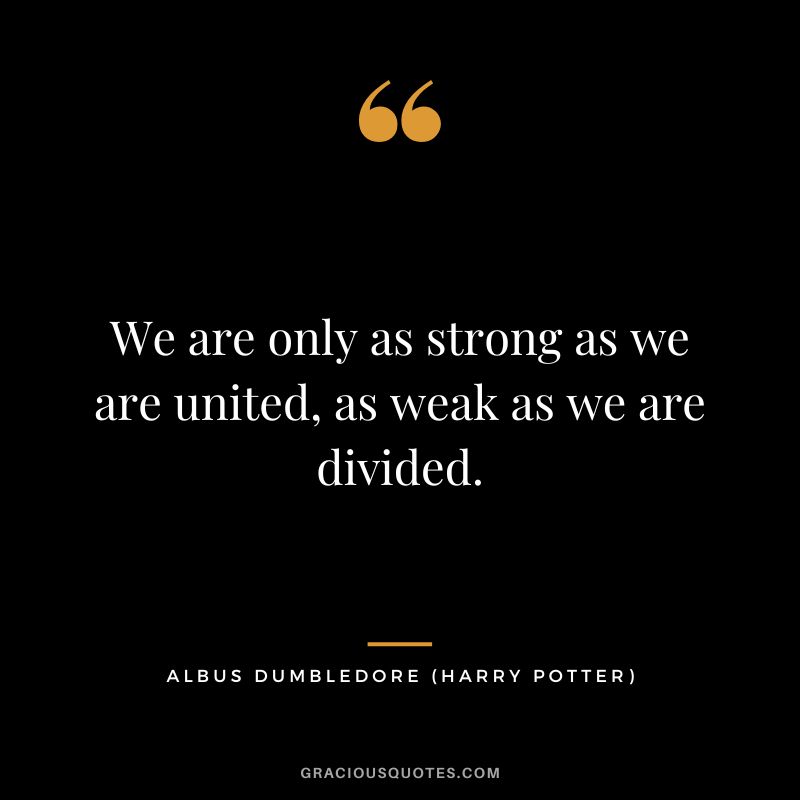 We are only as strong as we are united, as weak as we are divided. - Albus Dumbledore