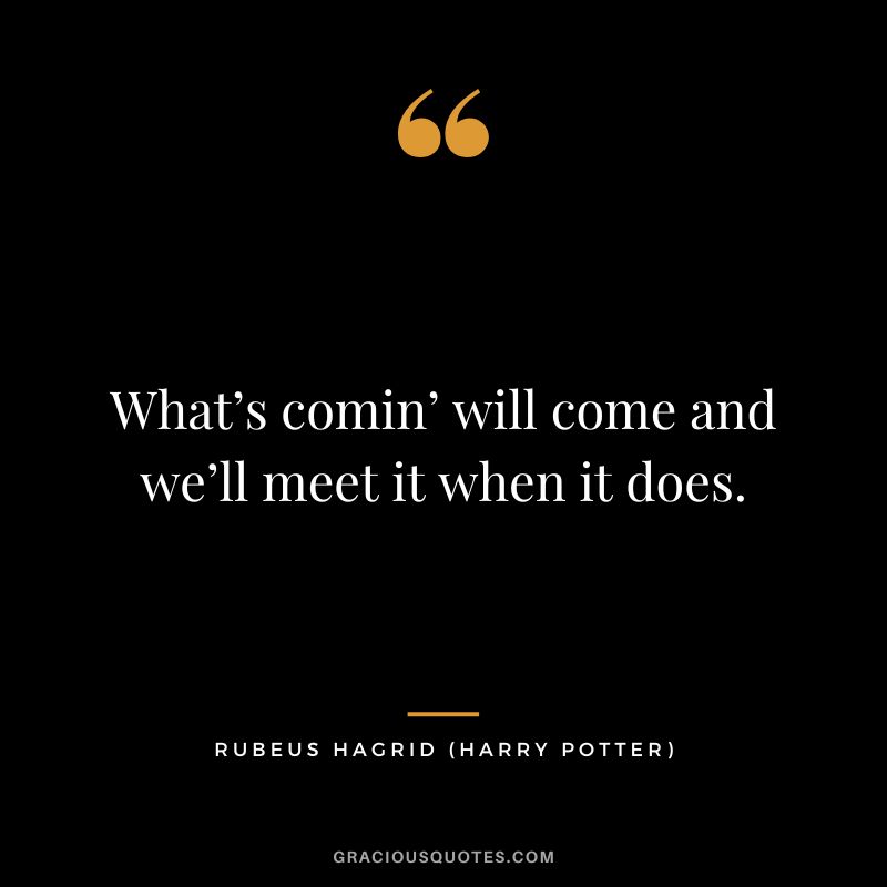 What’s comin’ will come and we’ll meet it when it does. - Rubeus Hagrid