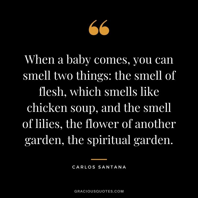 When a baby comes, you can smell two things the smell of flesh, which smells like chicken soup, and the smell of lilies, the flower of another garden, the spiritual garden. - Carlos Santana