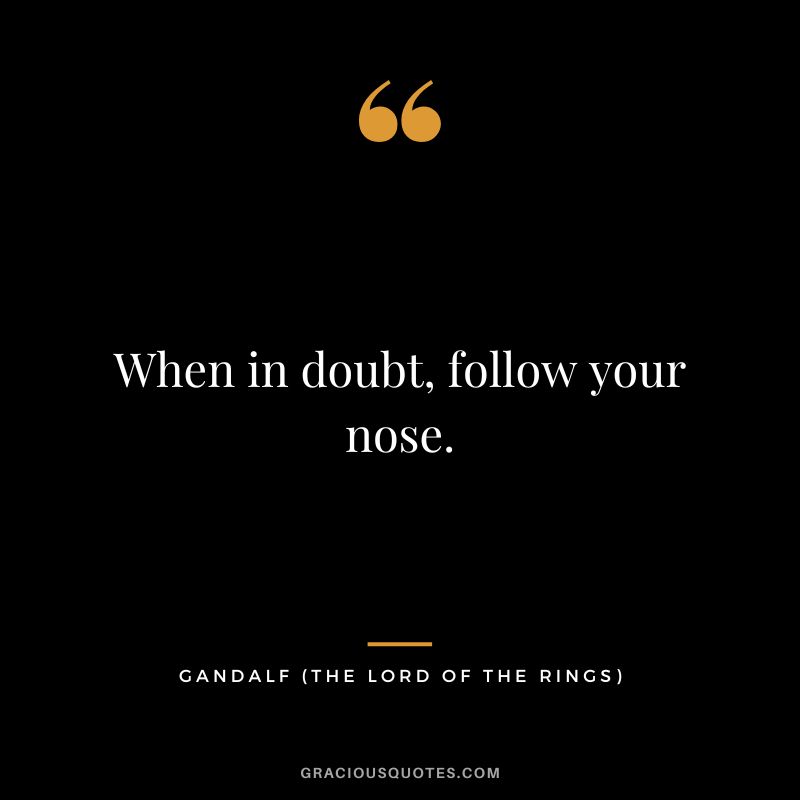 When in doubt, follow your nose. - Gandalf