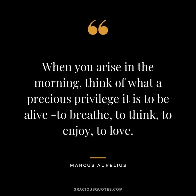 When you arise in the morning, think of what a precious privilege it is to be alive -to breathe, to think, to enjoy, to love. - Marcus Aurelius