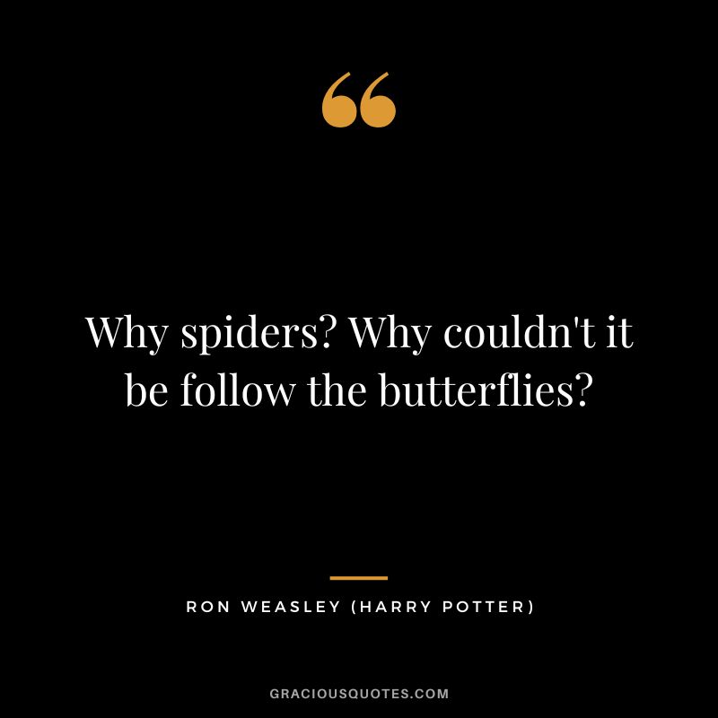 Why spiders Why couldn't it be follow the butterflies - Ron Weasley