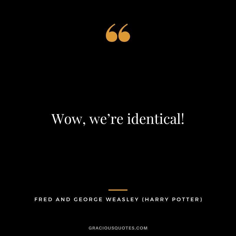 Wow, we’re identical! - Fred and George Weasley