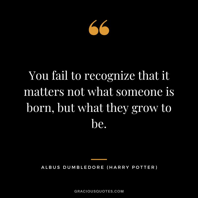 You fail to recognize that it matters not what someone is born, but what they grow to be. - Albus Dumbledore