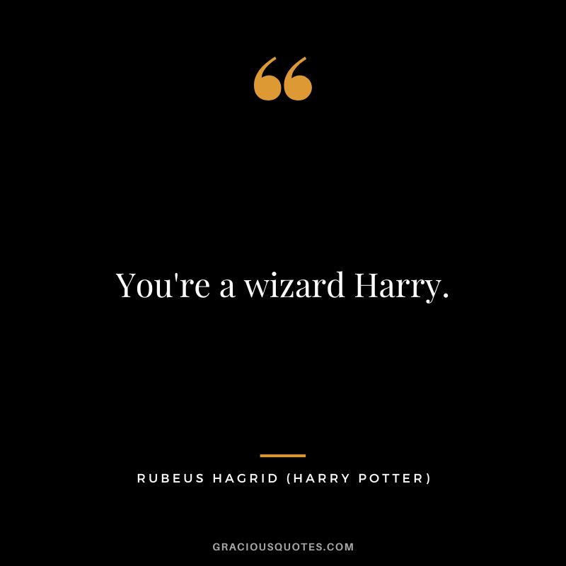 You're a wizard Harry. - Rubeus Hagrid