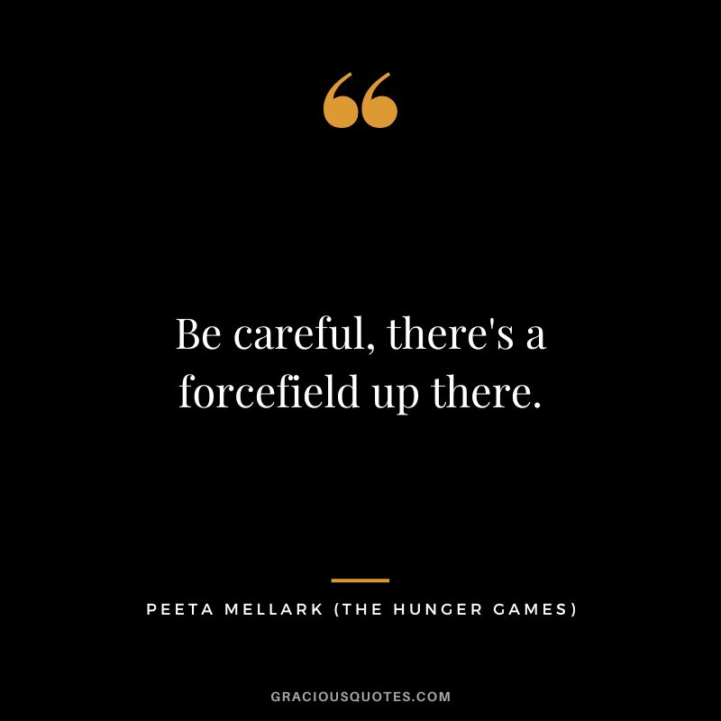 Be careful, there's a forcefield up there. - Peeta Mellark