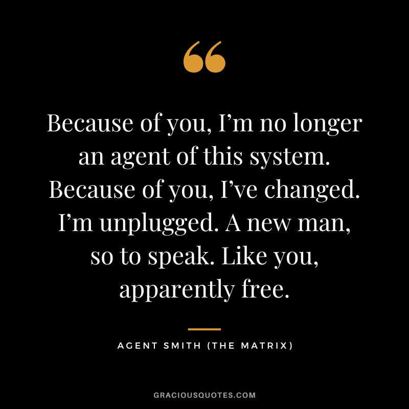 Because of you, I’m no longer an agent of this system. Because of you, I’ve changed. I’m unplugged. A new man, so to speak. Like you, apparently free. - Agent Smith