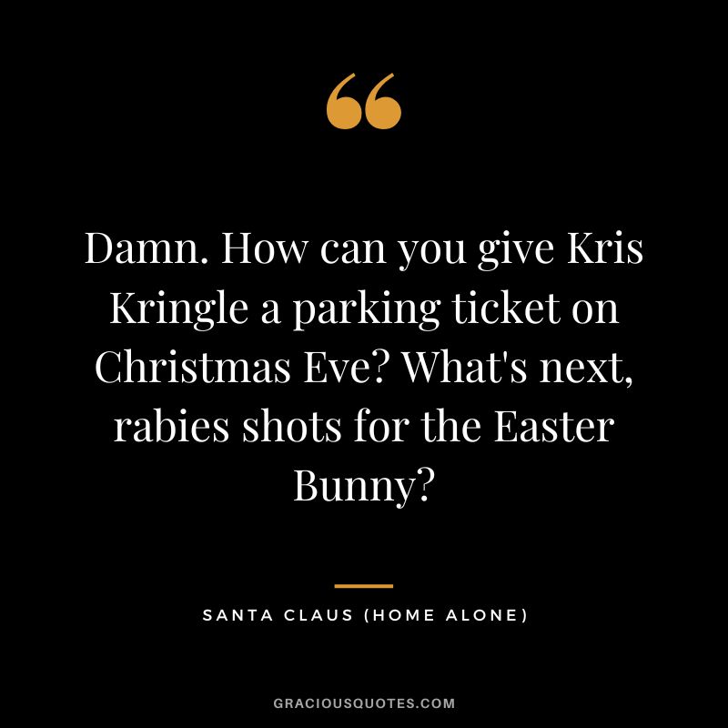 Damn. How can you give Kris Kringle a parking ticket on Christmas Eve What's next, rabies shots for the Easter Bunny - Santa Claus