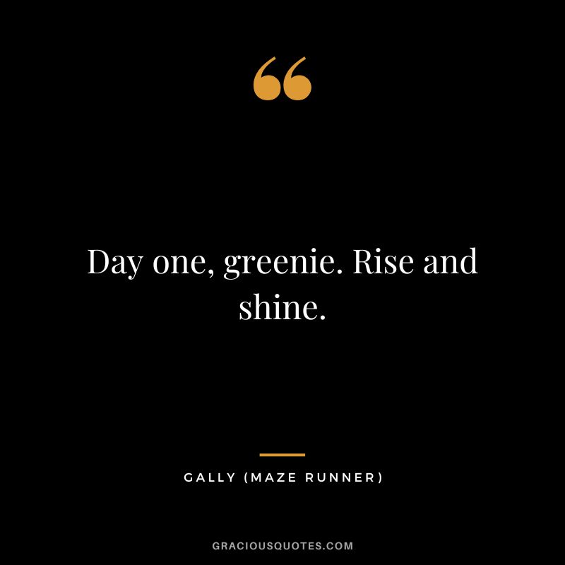 Day one, greenie. Rise and shine. - Gally